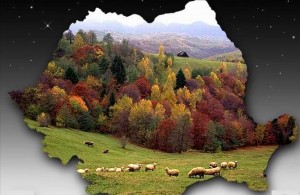 Sursă: realitatea.net