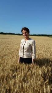Lan de grâu cu origine franțuzeasacă având o aristă lungă, recomandat a fi cultivat în preajma pădurilor, greu de mâncat de porcii mistreți, dar nerezistent la iernile reci